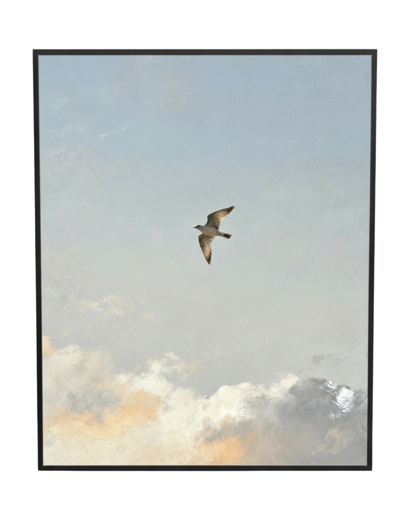 Sky Watcher Bird Art