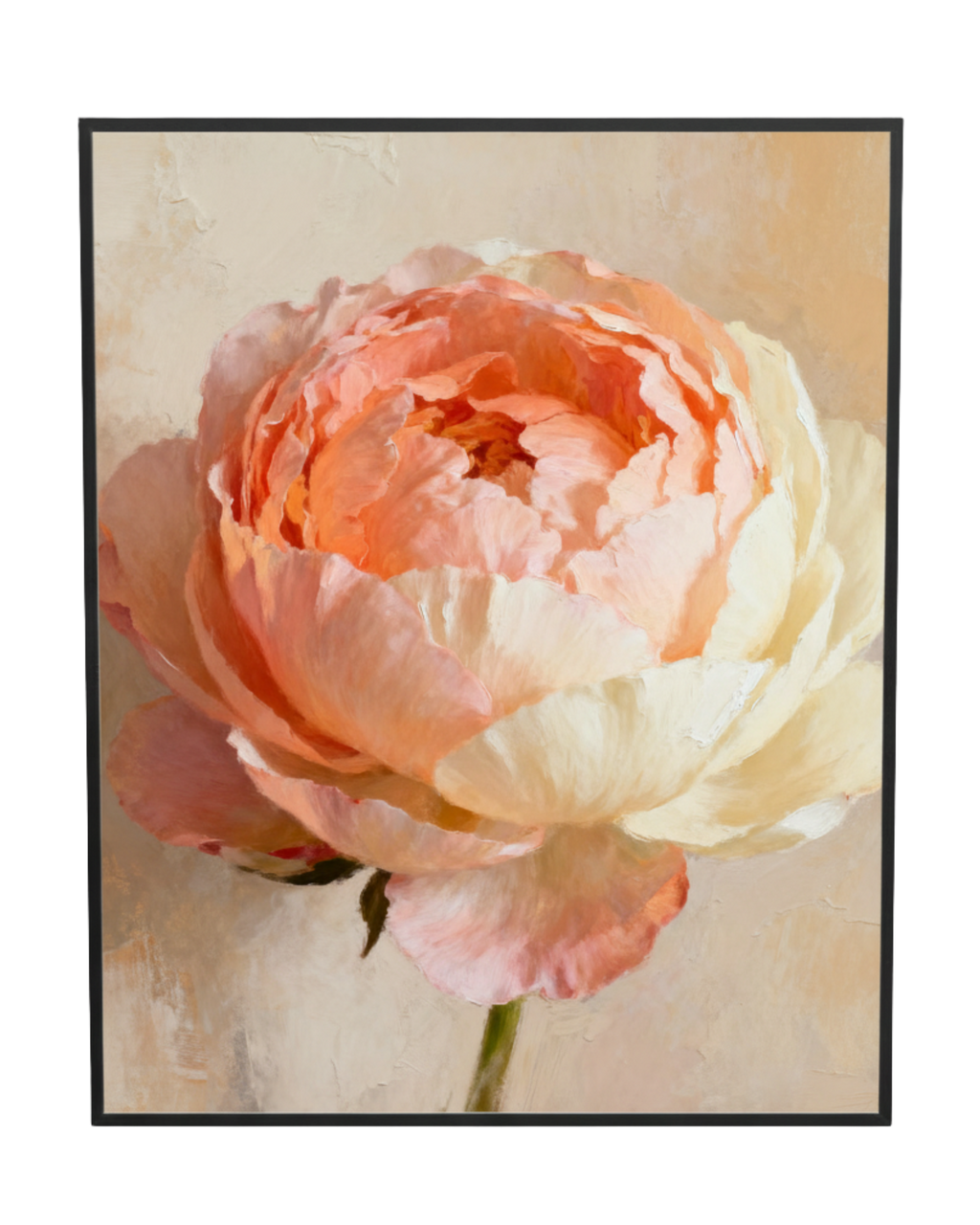 Blush Bloom Study Peony Wall Art