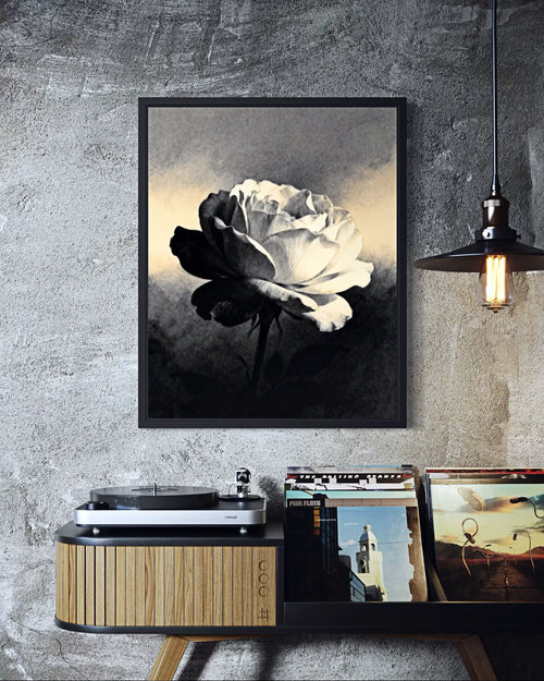 Contrast Bloom Black and White Peony Wall Art
