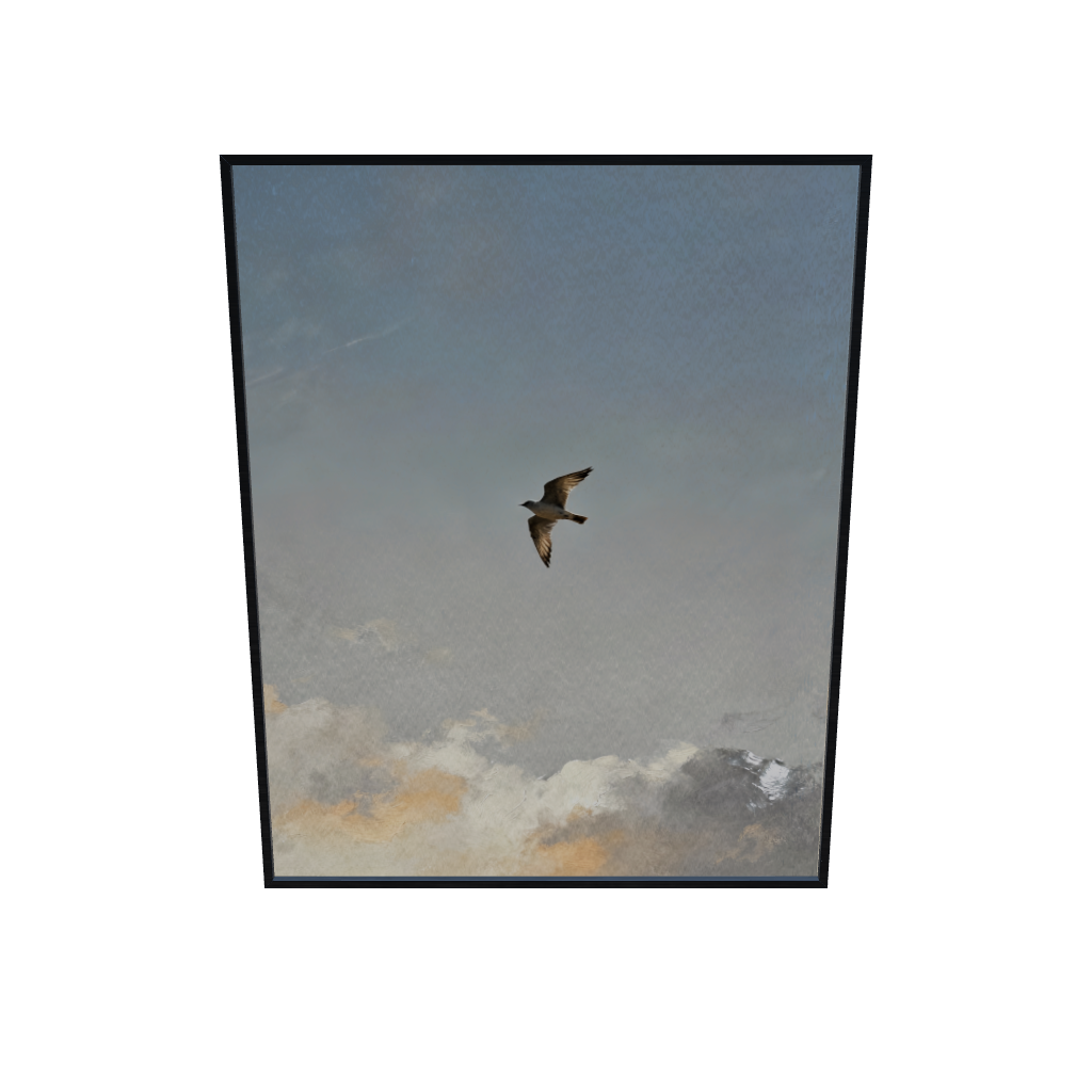 Sky Watcher Bird Art